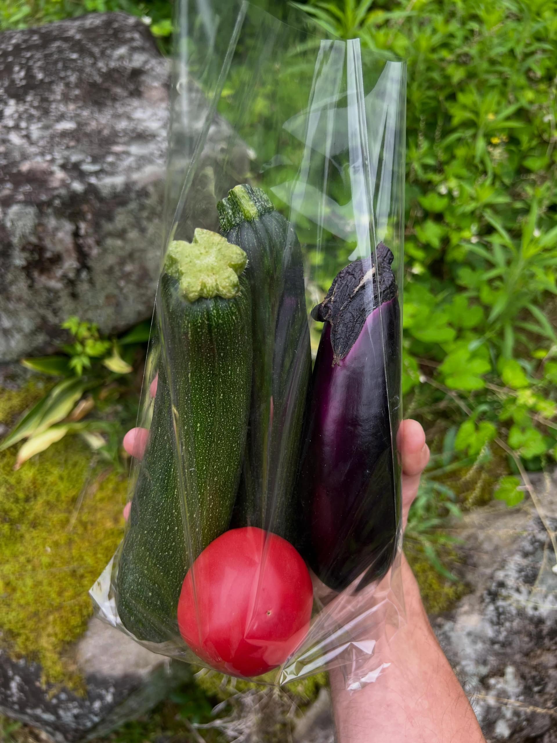 本日から6/28（日）までヘアサロンノワールブラン (Noir Blanc)で野菜を販売しています。